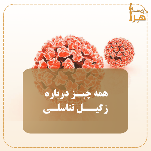 زگیل تناسلی و ویروس HPV