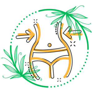 رژیم-غذایی-لاغری